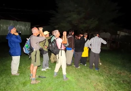 monteverde-night-tour-group-exploring-700x490
